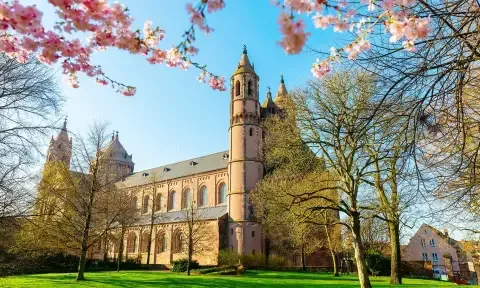 Polsterreinigung in Worms